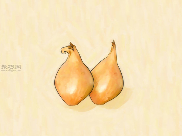 怎样在室内花盆里种植葱 一起学种植大葱步骤