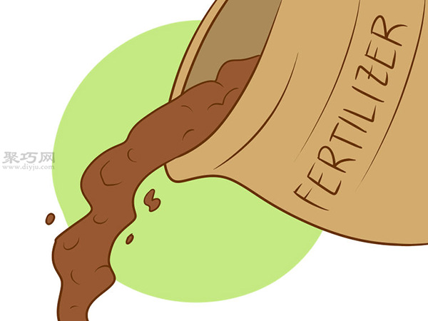 如何照顾已经成熟的芦笋 18