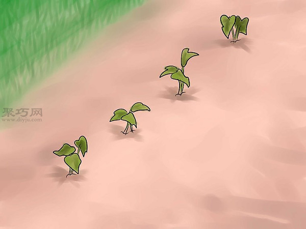 如何种植红薯 教你种植红薯教程