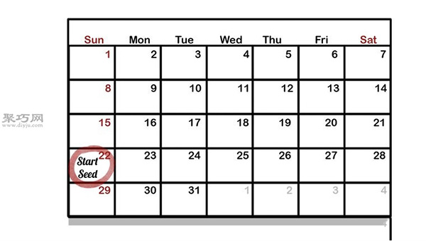 让种子发芽图片教程 2