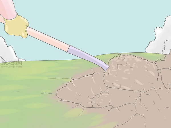 种植玫瑰教程 15