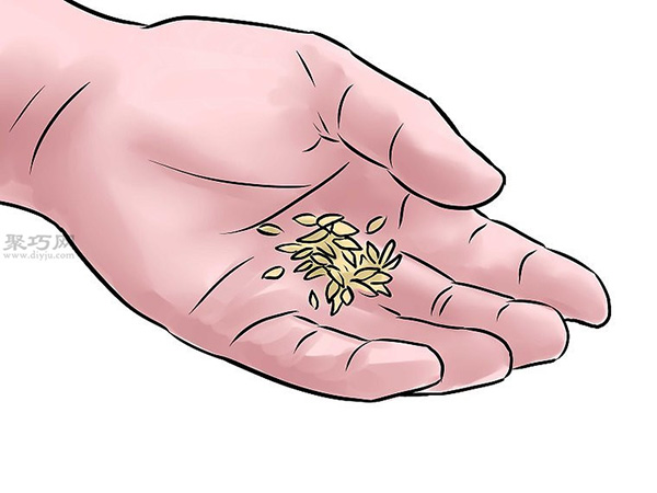 种黄瓜图片教程 8