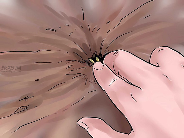 种黄瓜图片教程 10