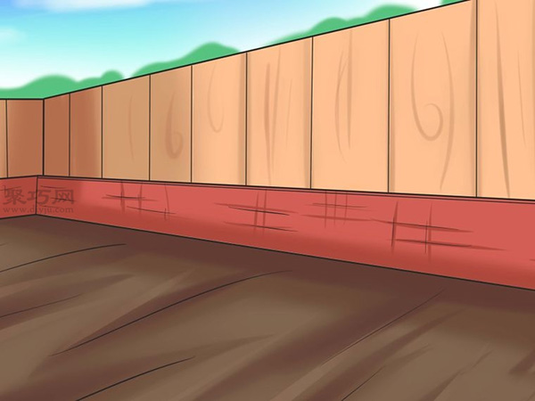 怎样自己种植向日葵 3