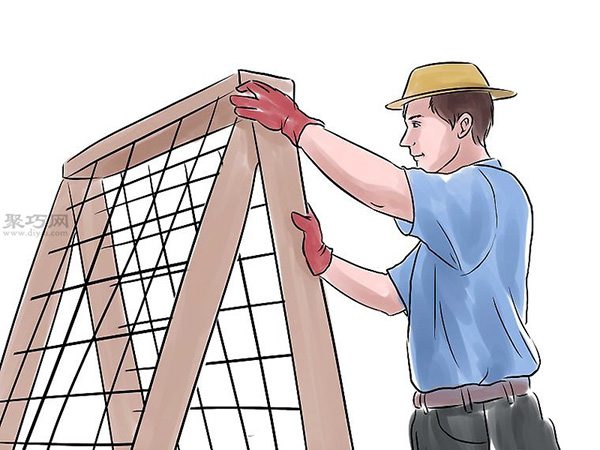 种黄瓜图片教程 11