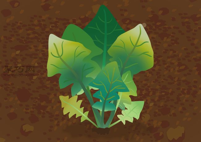 菠菜的盆栽种植技巧 如何防治菠菜常见病(图2)