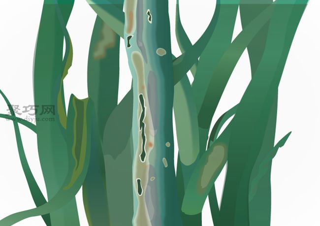 如何预防洋葱生病 种植洋葱病虫害类型及防治措施(图3) 如何预防洋葱生病 种植洋葱病虫害类型及防治措施(图3)