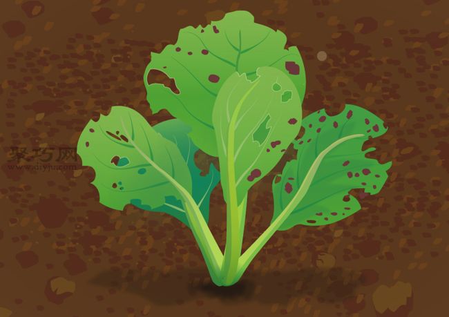 栽培油菜必备 如何提高油菜的病虫害防治(图3)