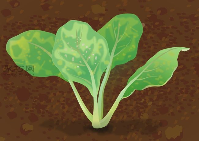 栽培油菜必备 如何提高油菜的病虫害防治(图2)