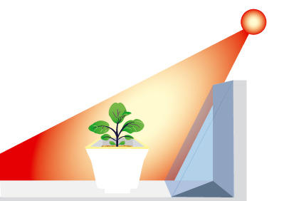 茄子种植新手必备 土壤 环境 幼苗的选择(图4)