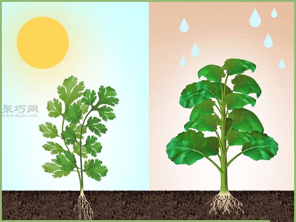 如何准备播种 一起学播种教程