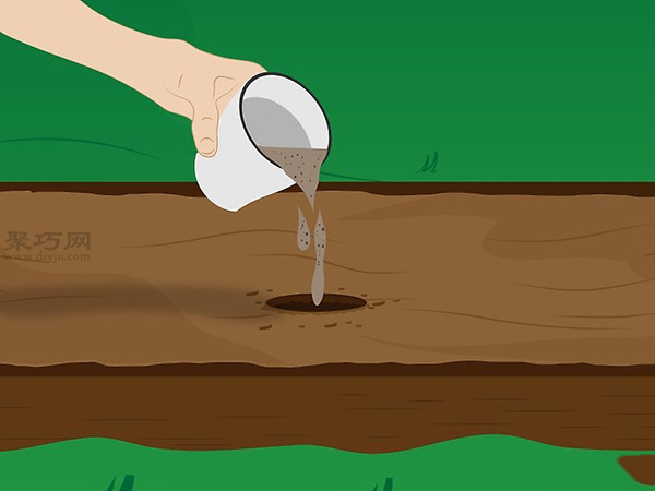 怎样种植薰衣草 一起学种植薰衣草步骤