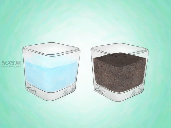 怎样挑选富贵竹 2