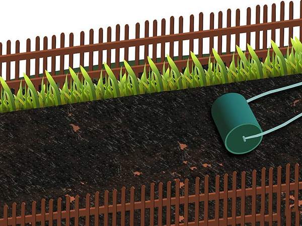 用草籽种草教程 8