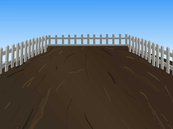 用草籽种草教程 10