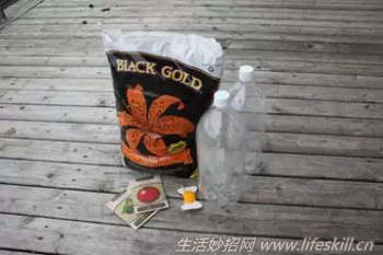 自己动手制作会自动吸水的小盆栽