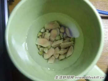 吃剩下的水果核不要扔，动手种植成小盆景 - 案例展示图