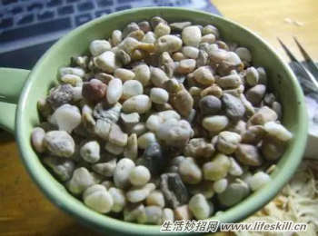 吃剩下的水果核不要扔，动手种植成小盆景