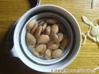 吃剩下的水果核不要扔，动手种植成小盆景