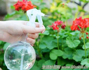 养花人不得不知的15件事 - 案例展示图