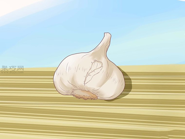 怎样收成与风干大蒜 12