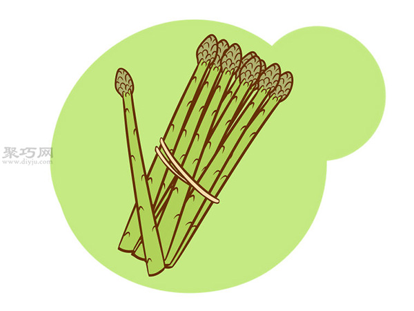 怎样收获芦笋 种芦笋图片教程