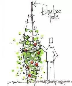 家庭盆栽的修剪、整形和造型小介绍(图18) 家庭盆栽的修剪、整形和造型小介绍