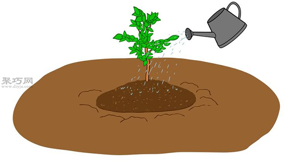 自家怎样种植柑橘 柑橘栽培种植技术