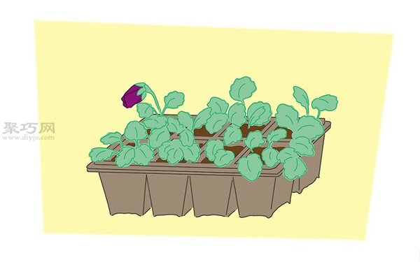 蝴蝶花的养殖方法 教你蝴蝶花怎么种植