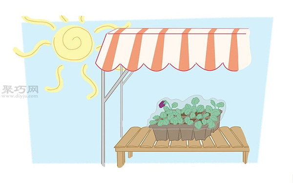 蝴蝶花的养殖方法 教你蝴蝶花怎么种植 3