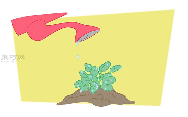 蝴蝶花的养殖方法 教你蝴蝶花怎么种植 4