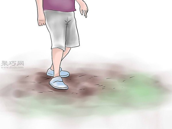 种植玫瑰花教程图解 4