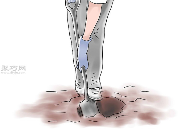 种植玫瑰花教程图解 6