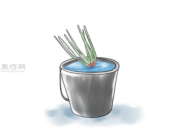 种植玫瑰花教程图解 5