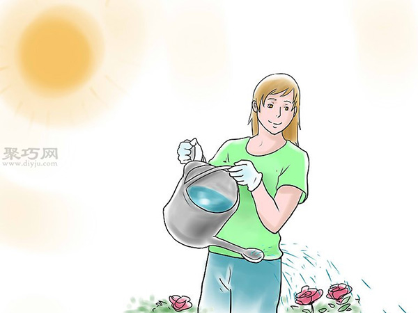 种植玫瑰花教程图解 10