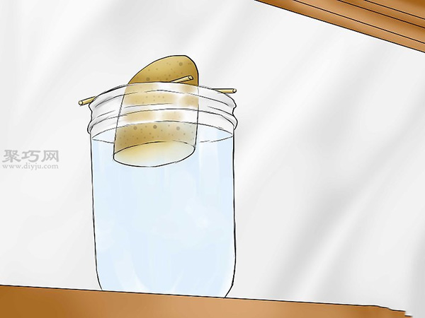 怎么培育红薯幼苗 5