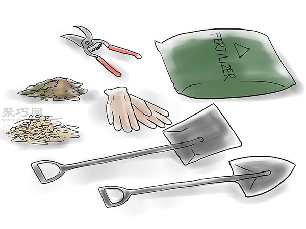 种植玫瑰花教程图解 3