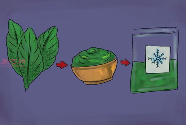 怎样收获和使用罗勒 13.jpeg