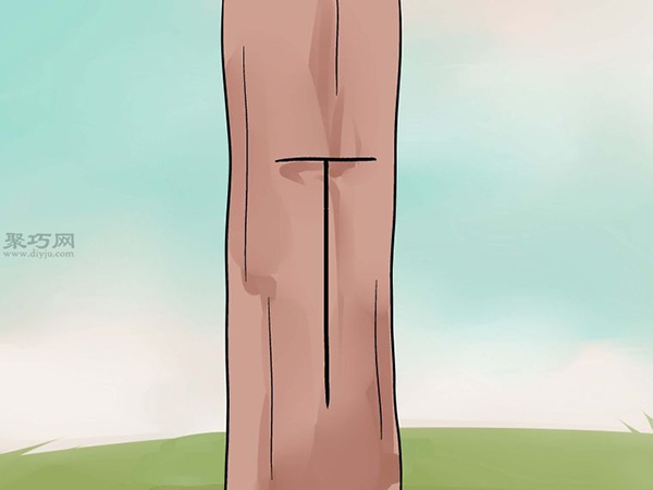 怎么样T型芽嫁接树 3