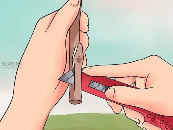 怎么样T型芽嫁接树 2