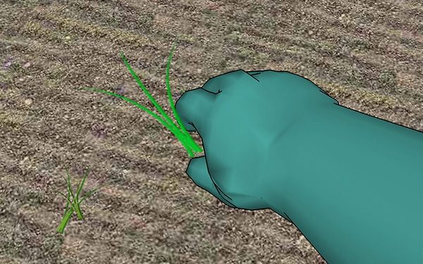 草坪种植与养护管理方法 草坪籽怎么种出漂亮的草坪 4