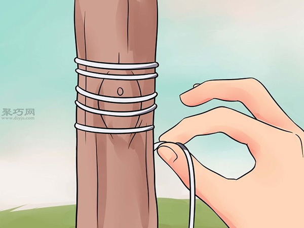 怎么样T型芽嫁接树 6