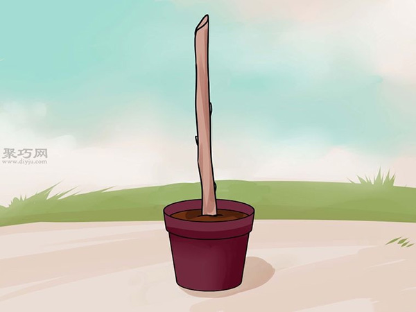 怎样用枝接法嫁接树 教你嫁接树步骤