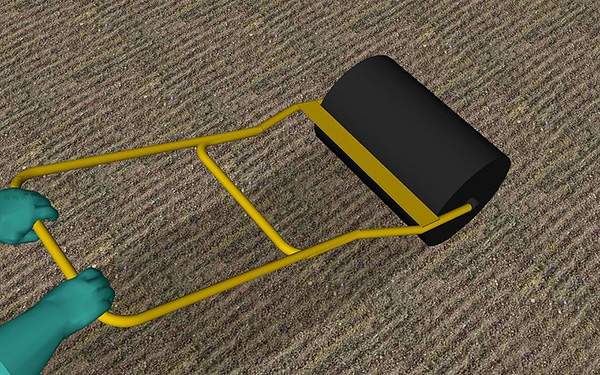 草坪种植与养护管理方法 草坪籽怎么种出漂亮的草坪 9