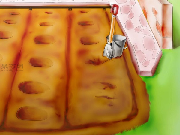 用种子种植番茄步骤 26