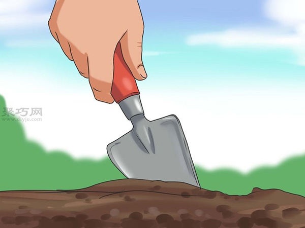 怎么选种植向日葵的种子 种植向日葵图解教程