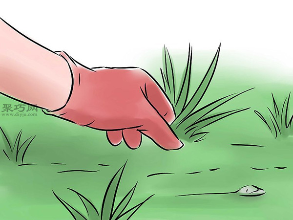 怎么样照料花园 种出一个花园教程图解