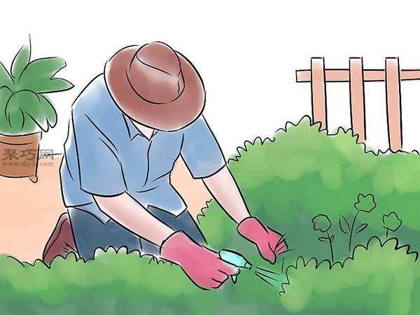 怎么样照料花园 9