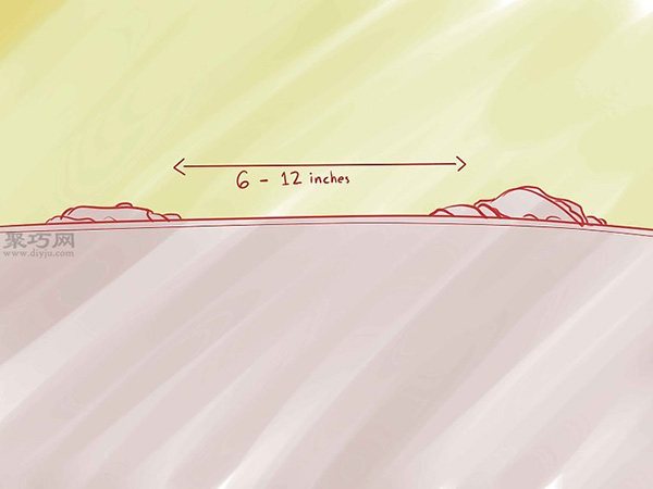 怎样种植香草 种植香草教程图解(图4) 怎样种植香草 2