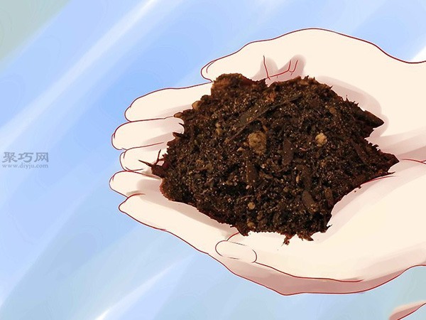 怎样种植香草 3